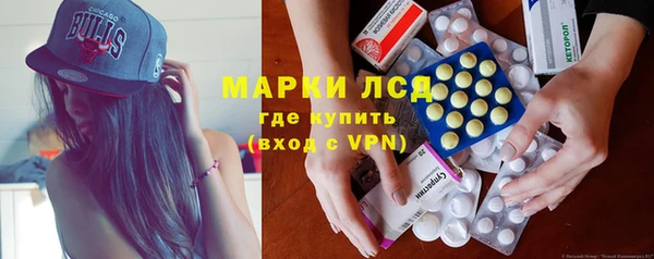 хмурый Аркадак