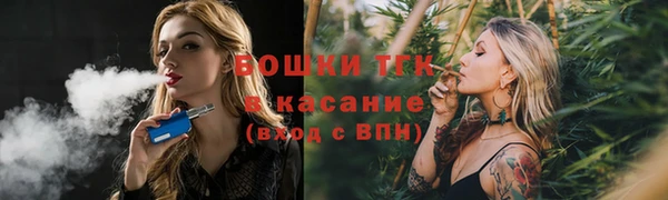 хмурый Аркадак