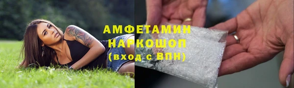 хмурый Аркадак