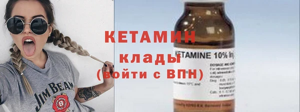 хмурый Аркадак