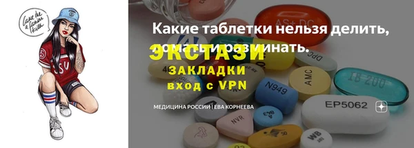 хмурый Аркадак