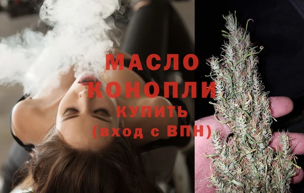 хмурый Аркадак