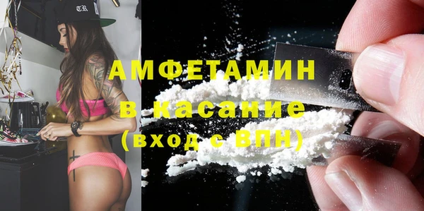 хмурый Аркадак