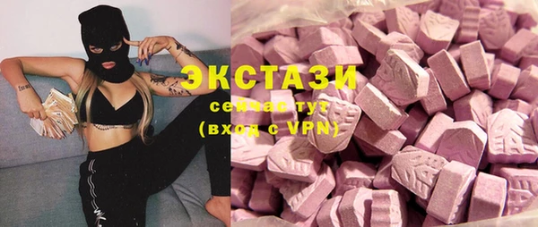 хмурый Аркадак