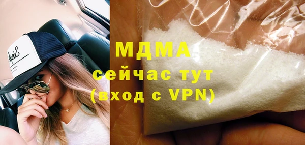 хмурый Аркадак