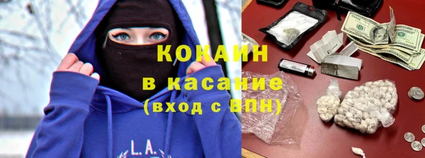хмурый Аркадак