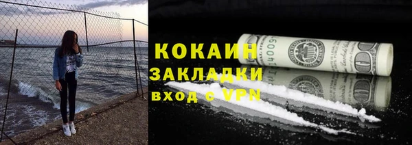 хмурый Аркадак