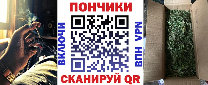 Марихуана Amnesia  Новая Ладога 